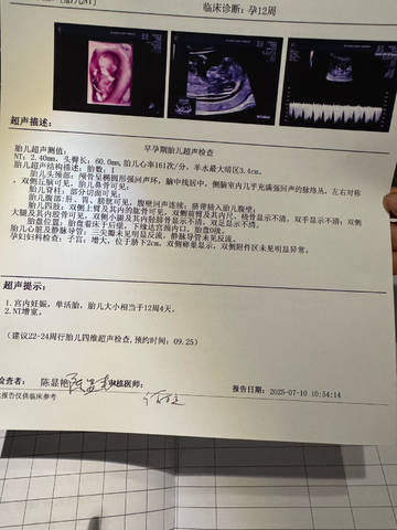 journal_insert_pic_4363073569