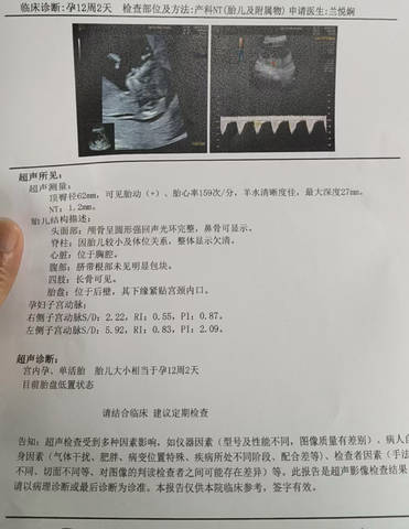journal_insert_pic_4363059217