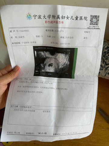 journal_insert_pic_4412334913