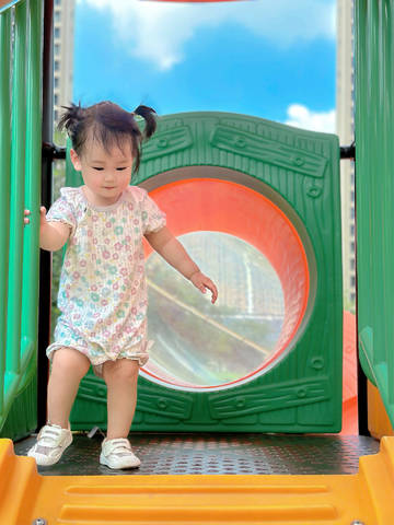 journal_insert_pic_4412478790
