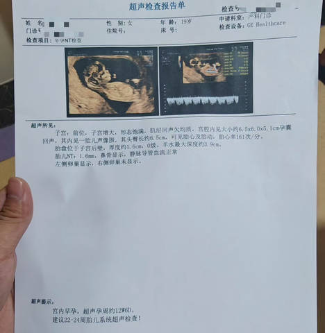 journal_insert_pic_4412554183