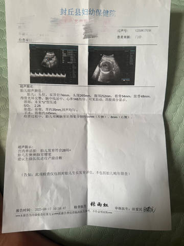 journal_insert_pic_4413140489