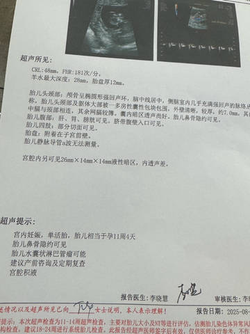 journal_insert_pic_4413206393