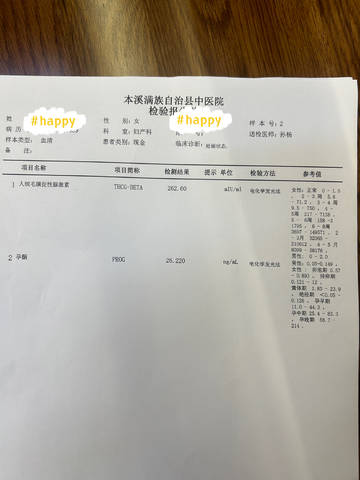 journal_insert_pic_4414013853