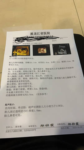 journal_insert_pic_4414287784