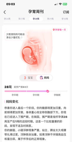 journal_insert_pic_4414379619