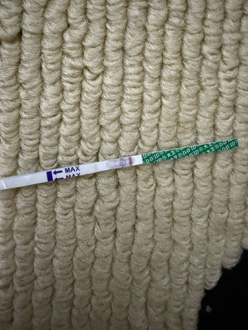 journal_insert_pic_4414715276