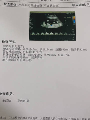 journal_insert_pic_4414702385