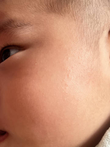 journal_insert_pic_4439501353