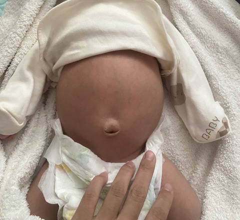 journal_insert_pic_4439718805