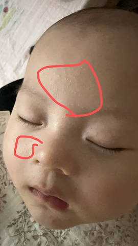 journal_insert_pic_4440266669