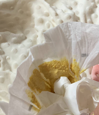 journal_insert_pic_4441628133