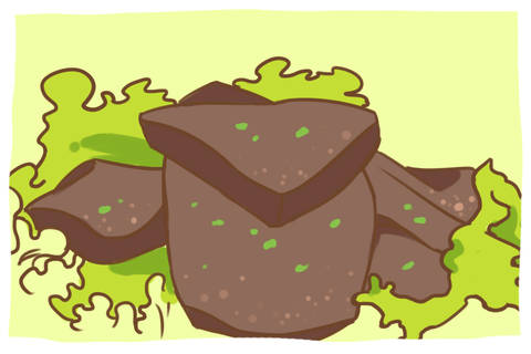 journal_insert_pic_970214574