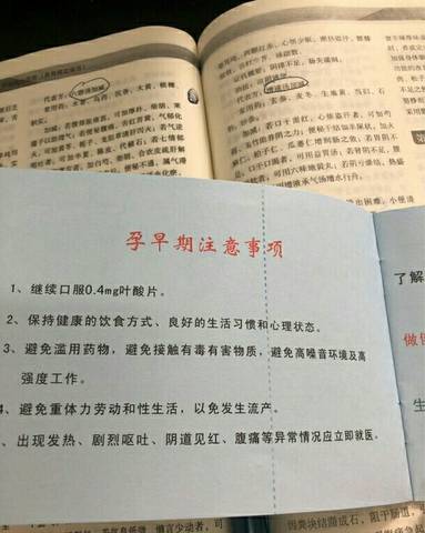 journal_insert_pic_1016365755