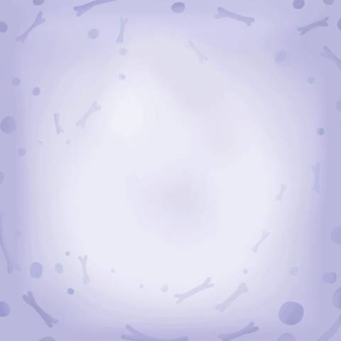 journal_insert_pic_1053128106
