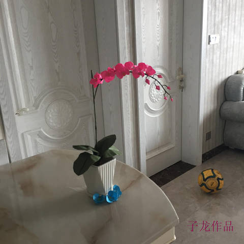 journal_insert_pic_1063228694