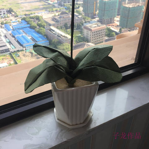 journal_insert_pic_1063228011