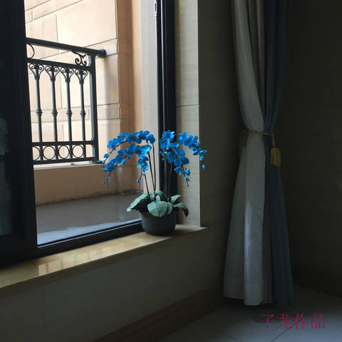 journal_insert_pic_1063227841