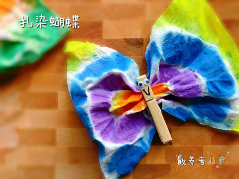 journal_insert_pic_1069793990