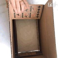 journal_insert_pic_1096860857