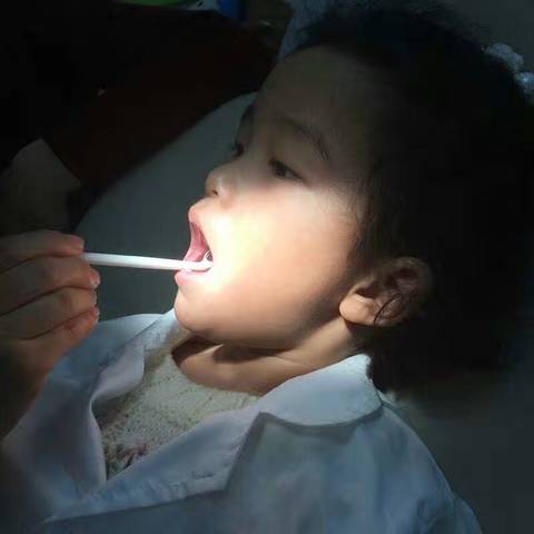 journal_insert_pic_1102155133