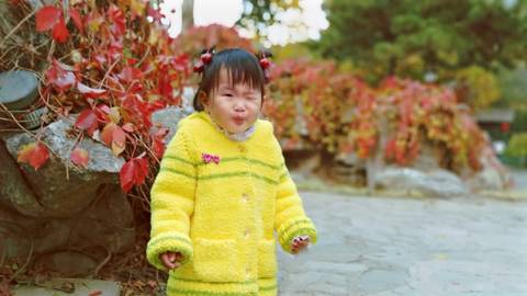 journal_insert_pic_1125239933