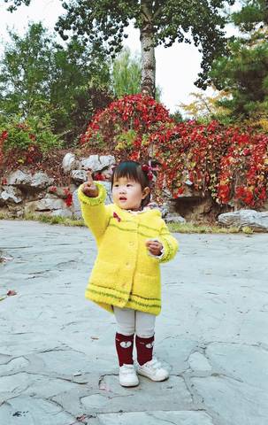 journal_insert_pic_1125239951