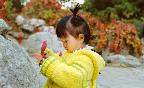 journal_insert_pic_1125239942
