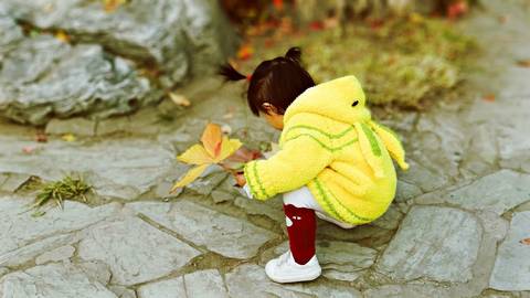 journal_insert_pic_1125239943
