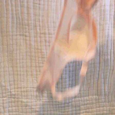 journal_insert_pic_1129585223