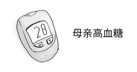 journal_insert_pic_1169095062