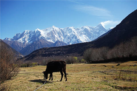 journal_insert_pic_1202123335