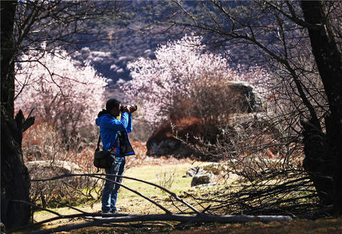 journal_insert_pic_1202123369