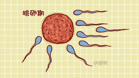 journal_insert_pic_1074645153