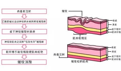 journal_insert_pic_1087911109