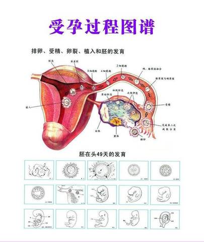 journal_insert_pic_1130719079