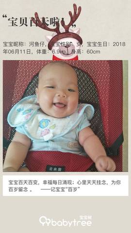 journal_insert_pic_1094080483