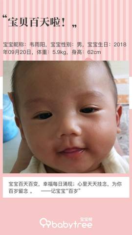 journal_insert_pic_1096240652