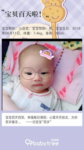journal_insert_pic_1096127908