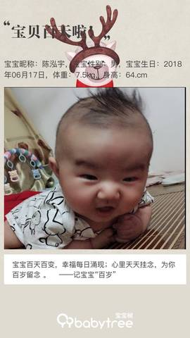 journal_insert_pic_1096455258