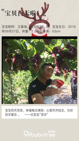 journal_insert_pic_1100124533