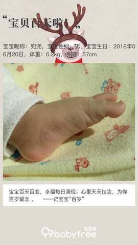 journal_insert_pic_1101899540