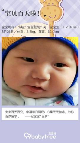journal_insert_pic_1103792774