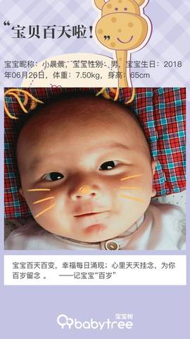 journal_insert_pic_1104543070