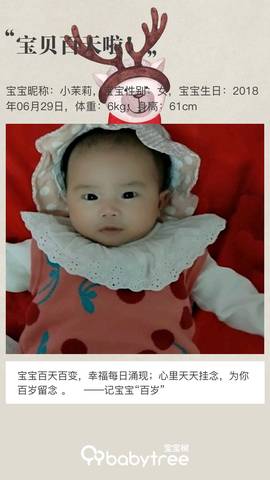 journal_insert_pic_1105424832