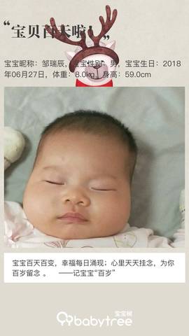 journal_insert_pic_1105480517