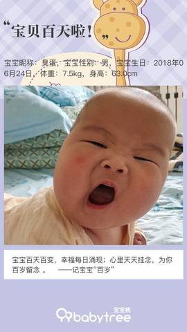 journal_insert_pic_1106226304