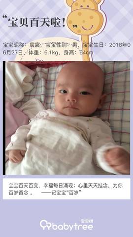 journal_insert_pic_1108741104