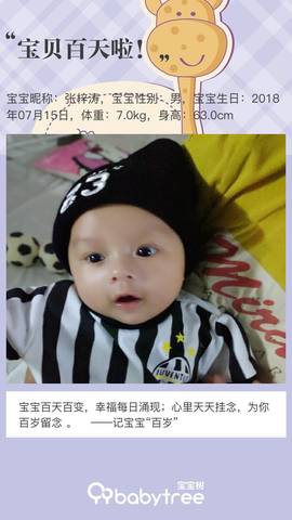 journal_insert_pic_1115611582