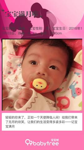 journal_insert_pic_1120700383